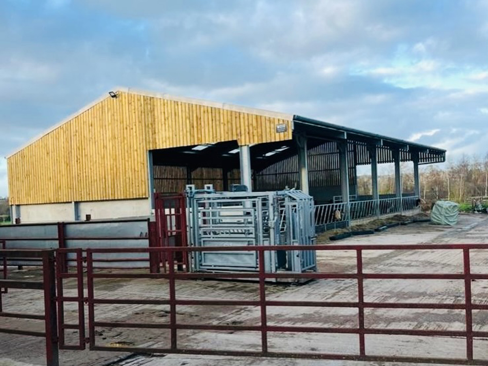 Dairy Cattle Indoor Feeding Stalls